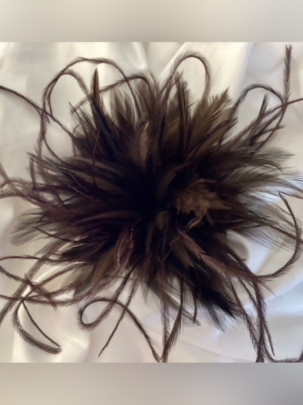 Dark brown Feather Fascinator Hair Clip. Ostrich accent. Handmade in the USA.